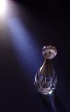 Jadore the spotlight*<br>by Tristan Panek