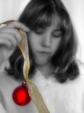 The Christmas Decorator II-Sarah D