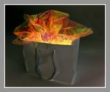 <b><i>3rd - </i>The Hot Gift</b><br>by Mark J