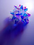 <b><i>5th - </i>The Special Gift Bow</b><br>by Mark J