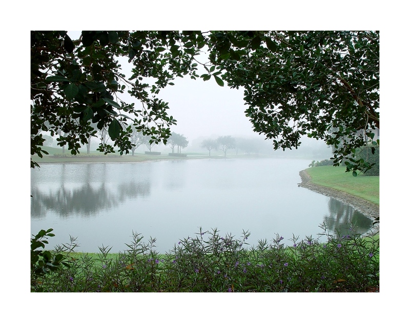 10th (tie)  Framing Fog<br><font size=1>by Bev Brink</font>