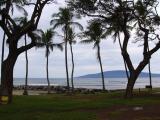 Beach Palms at Maui