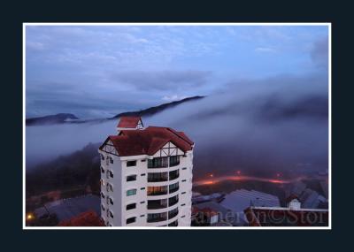 CAMERON HIGHLAND