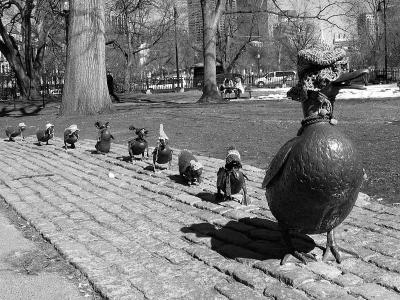 St Patty's Day Ducks #3