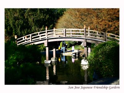 San Jose Japanese Friendship Garden