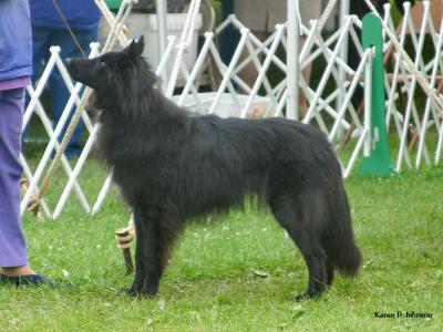 u49/sunfiretervs/medium/40809812.fenno2414w.jpg