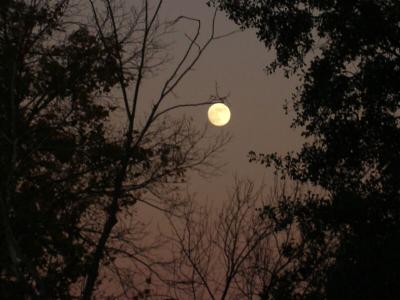 Awakening Moon / 25 Nov 04