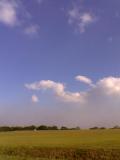 Blue skies