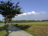 Path