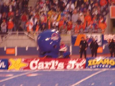 funny blue helmet car