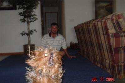 Rod & Gracie in action