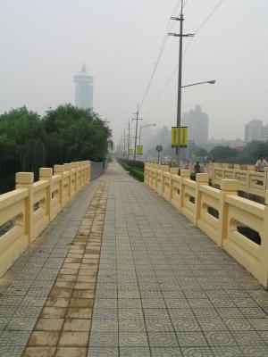 Pudong overpass