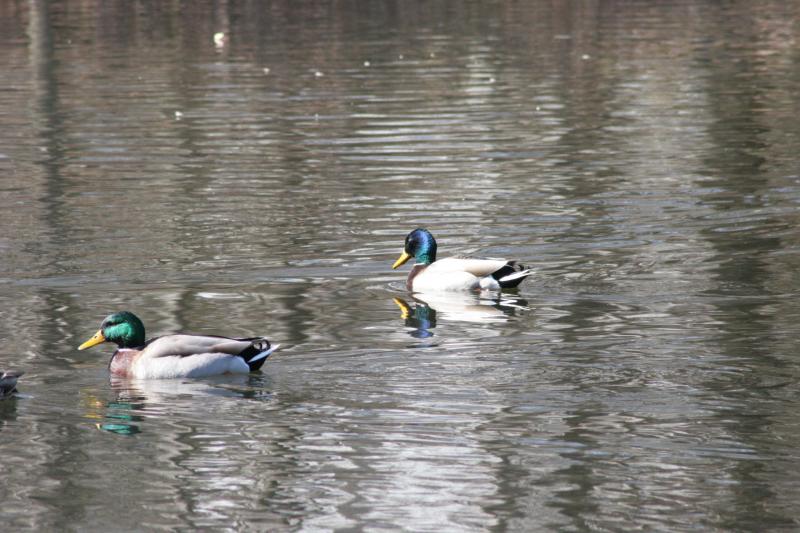 image0001.jpg