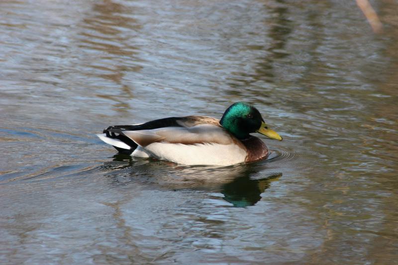 image0003.jpg