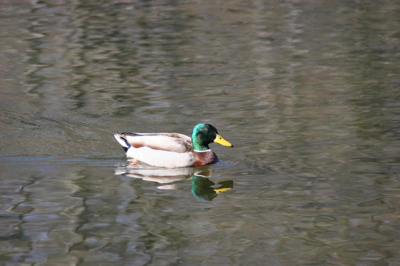 image0004.jpg