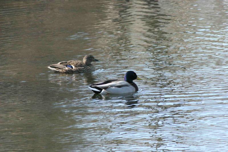 image0001.jpg
