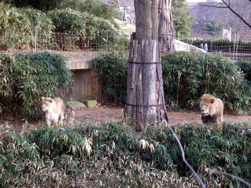 image0008.jpg