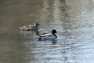 image0001.jpg