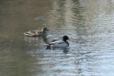 image0001.jpg