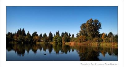 COMO LAKE GALLERY