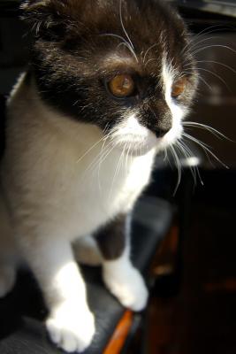 DSC_1337s.jpg
