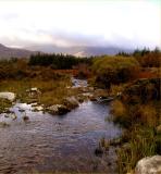 Ring of Kerry Mountain stream