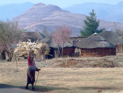 Spring Morning in Lesotho