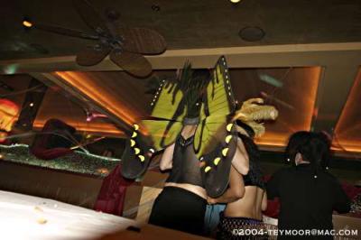 CRW_8267_JFR.jpg