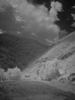 3443-ir sm.jpg