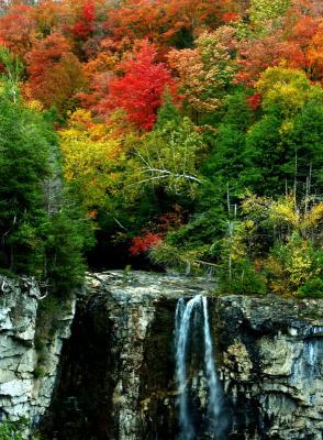 euginia falls.JPG