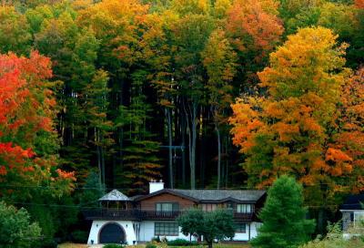 fall001.JPG