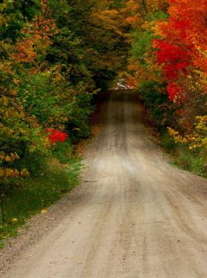 fall005.JPG