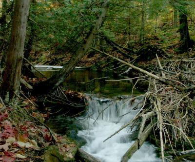 fall007.JPG