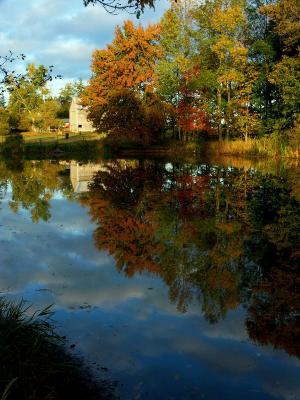 fall009.JPG