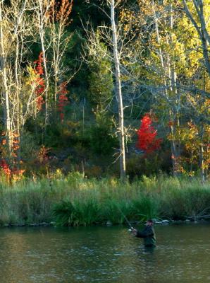 fishing001.JPG