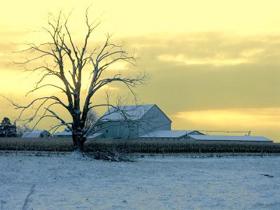 first snow fall.jpg