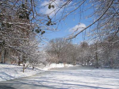 Winter scene 2005