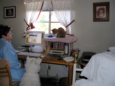 u49/themarmot/medium/36405532.who_datcopy.jpg
