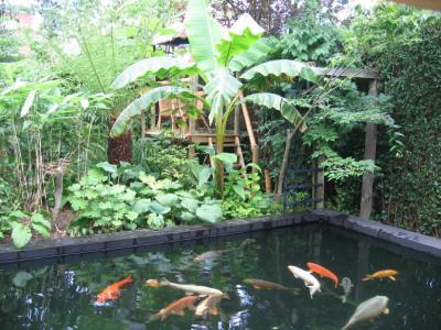 Nick's Garden in Leeds (UK)