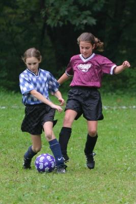 241_4102f.jpg