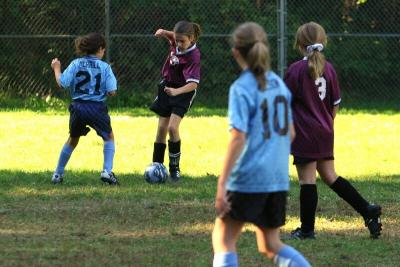 245_4535f.jpg