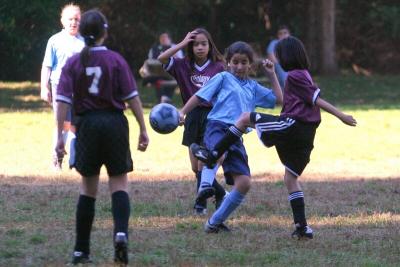246_4603f.jpg