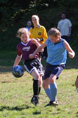 246_4620f.jpg