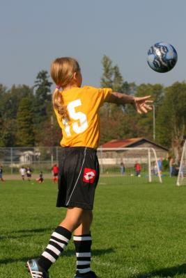 242_4246f.jpg