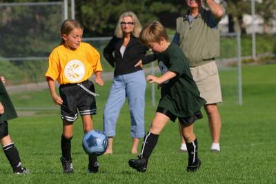 242_4265f.jpg