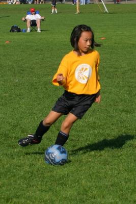 242_4280f.jpg