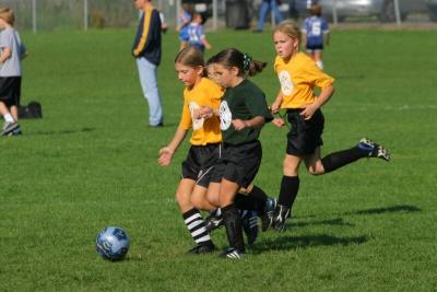 243_4302f.jpg