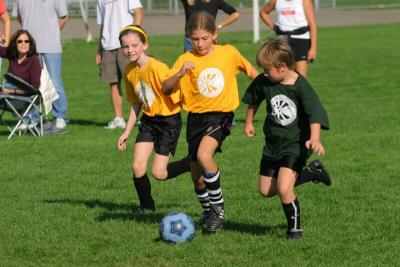 243_4306f.jpg