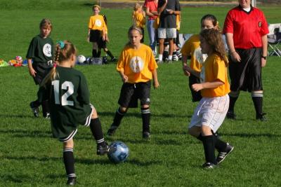 243_4330f.jpg