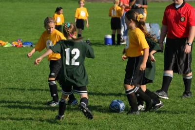 243_4331f.jpg
